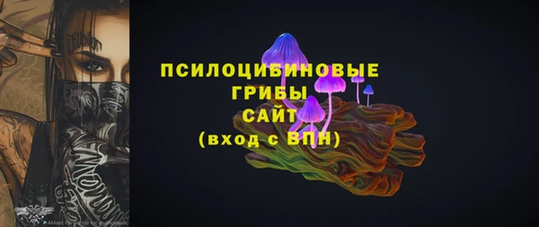 ECSTASY Вяземский