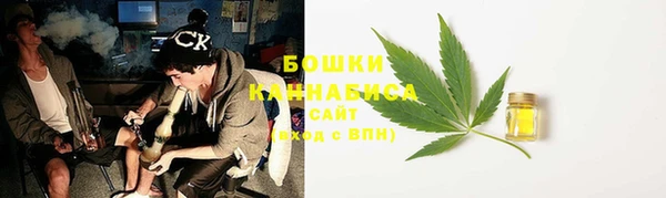 ECSTASY Вяземский