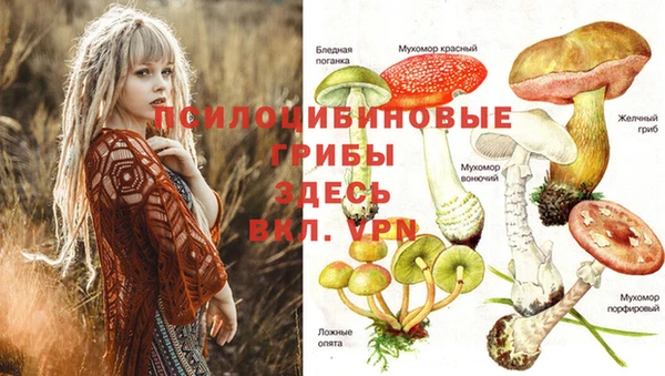 дурь Беломорск
