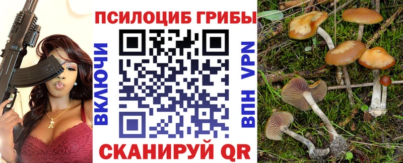 дарнет шоп Знаменск Галлюциногенные грибы Cubensis