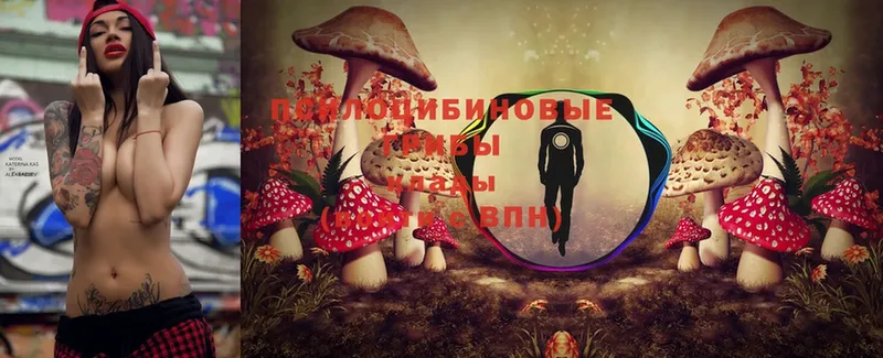 Галлюциногенные грибы MAGIC MUSHROOMS  мориарти официальный сайт  Знаменск  что такое наркотик 