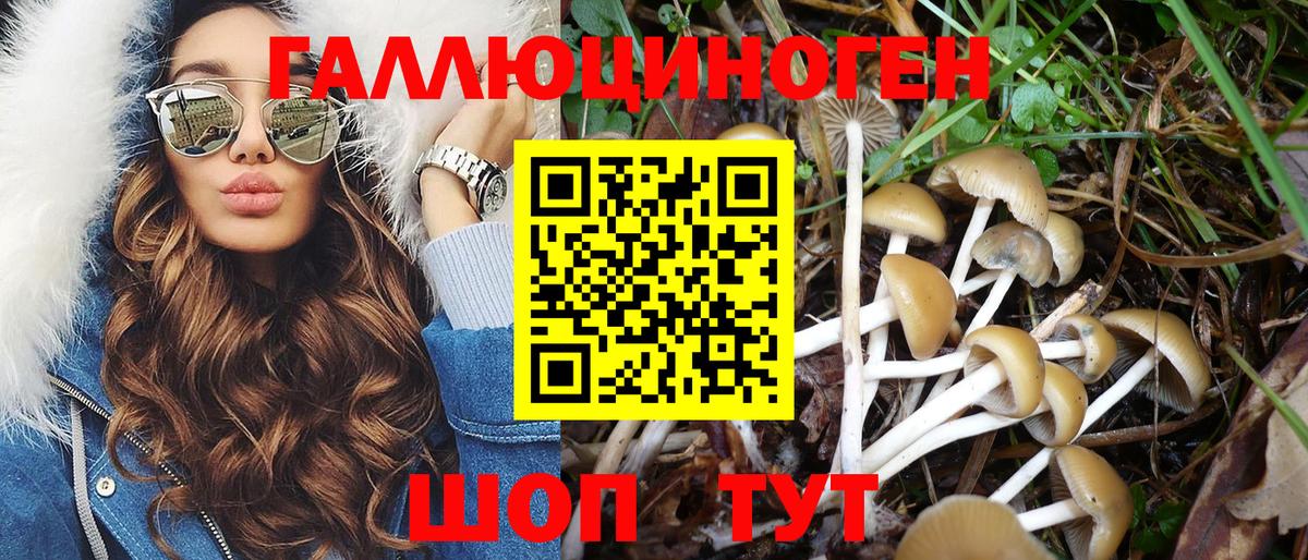 Галлюциногенные грибы Psilocybe  Знаменск 